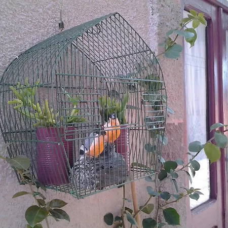 Bed & Breakfast Vecchia *